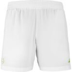 Short Lebron