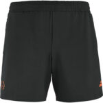 Short Lebron