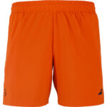 Short Lebron