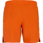 Short Lebron - Image 3